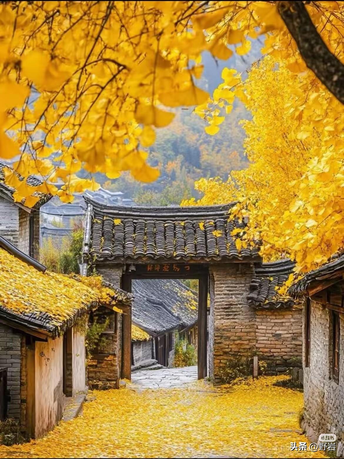 急事要缓，困事要韧，杂事要断，盛事要谦
 
急事别慌
越着急的事，越别匆忙做决定