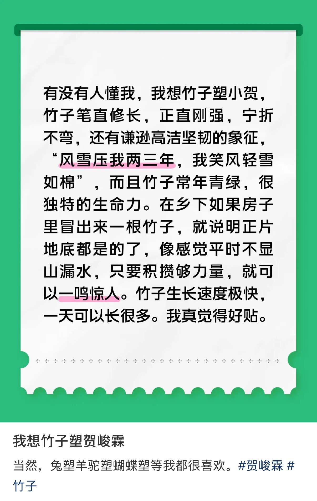 贺峻霖  我们峻霖有新的植物塑——一株坚韧高洁的竹子🎍 