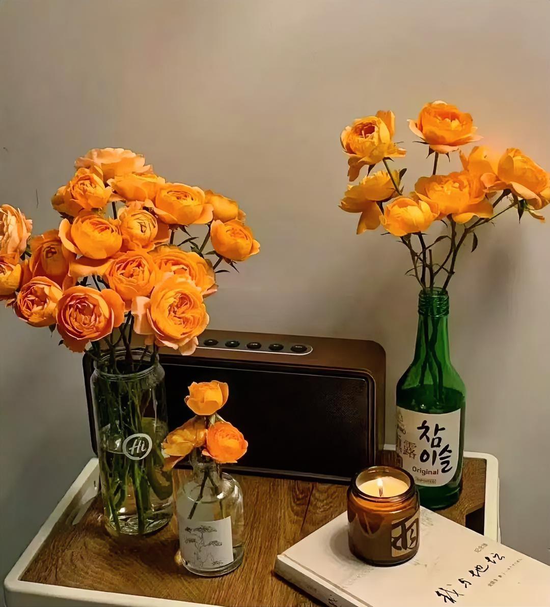 真正的跨文化理解
从来不是俯视的猎奇
而是平等的共情与责任跨文化差异 跨文化解读