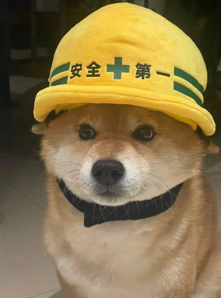 对于十几二十万的车而言，不含税价10%的购置税是否减免真的是相当大的影响。一众车