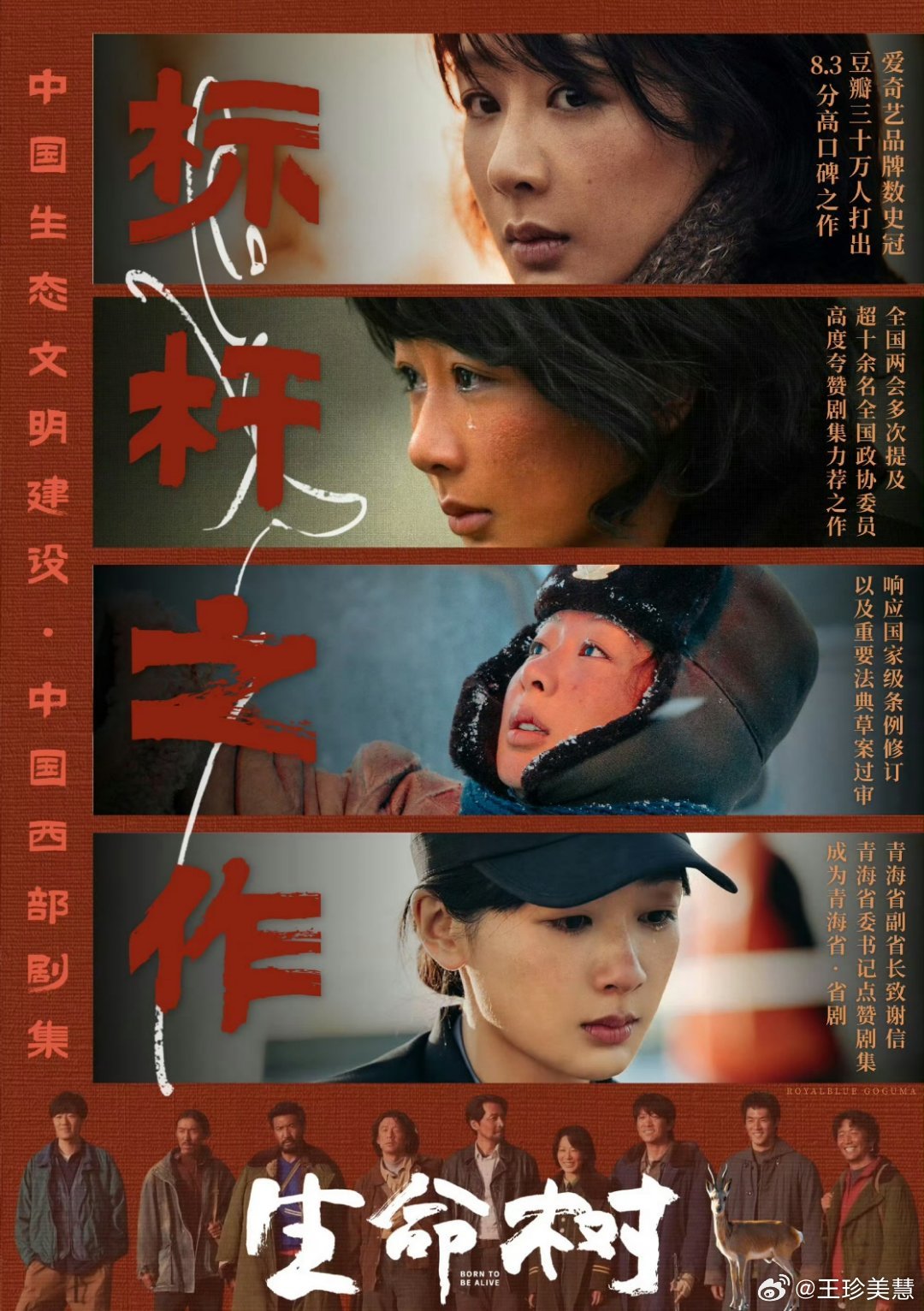 杨紫 白玉兰提名不用想，这次白玉兰最佳女主角非杨紫莫属。生命树的含量相信大家都无