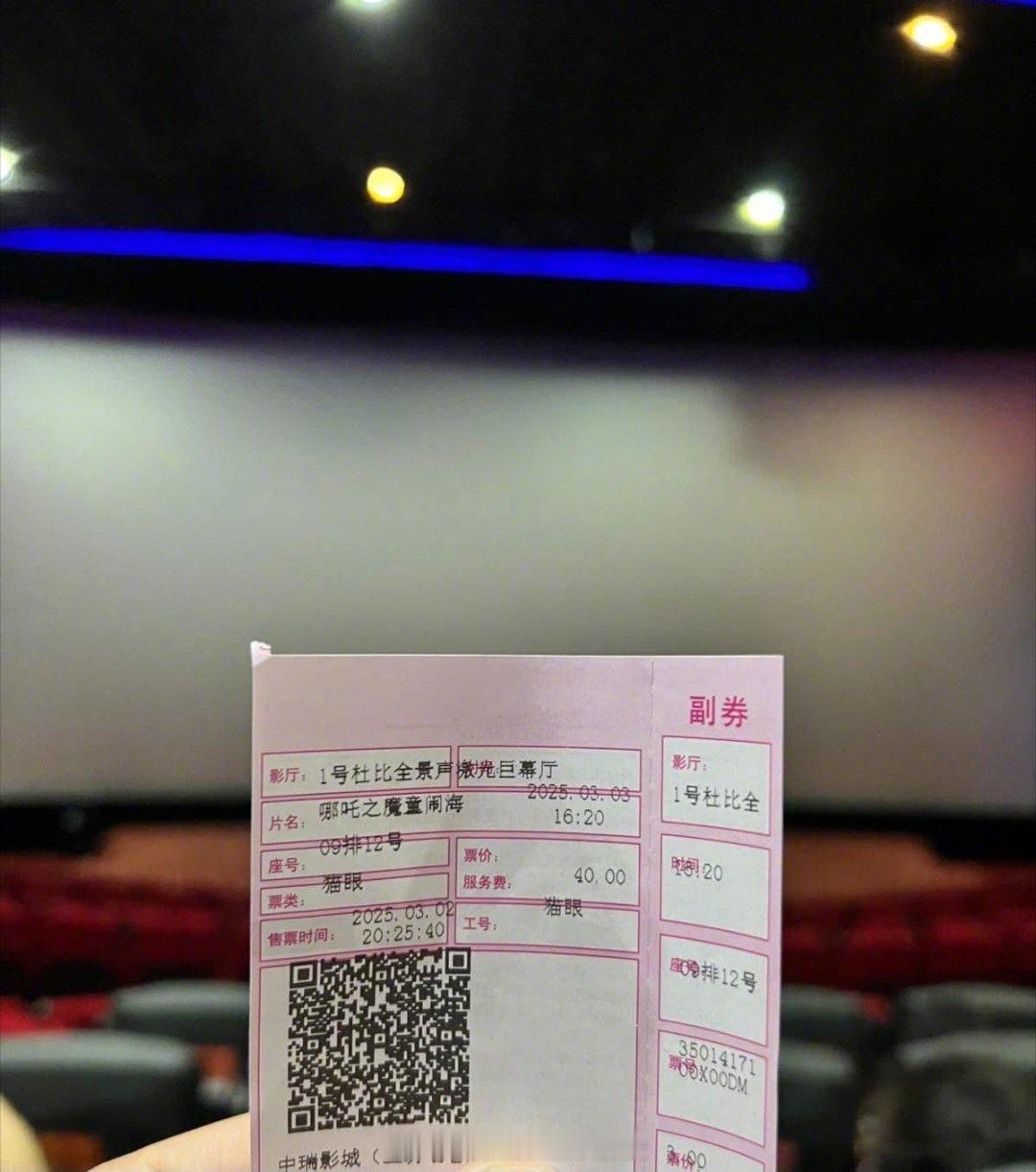 桃园市议员跟里长去年为了看《哪吒》而飞了一趟福建，隔天就回了桃园结果一年多过后，