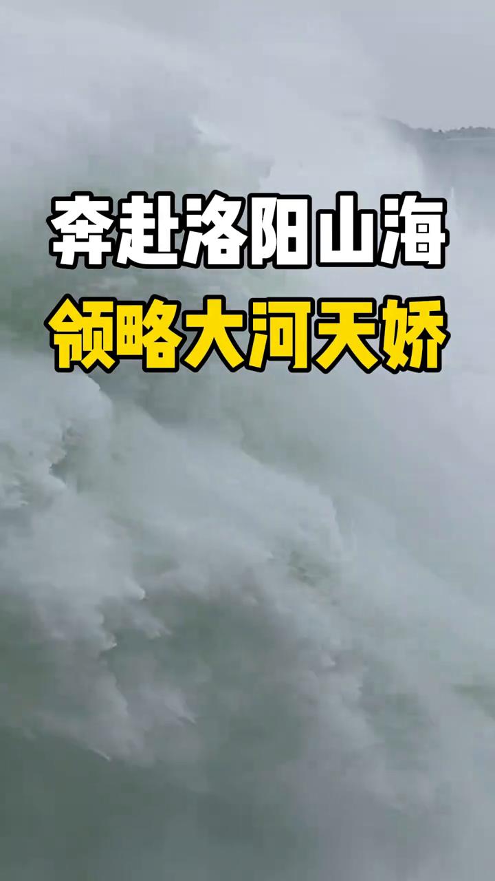奔赴洛阳山海，领略大河天娇。