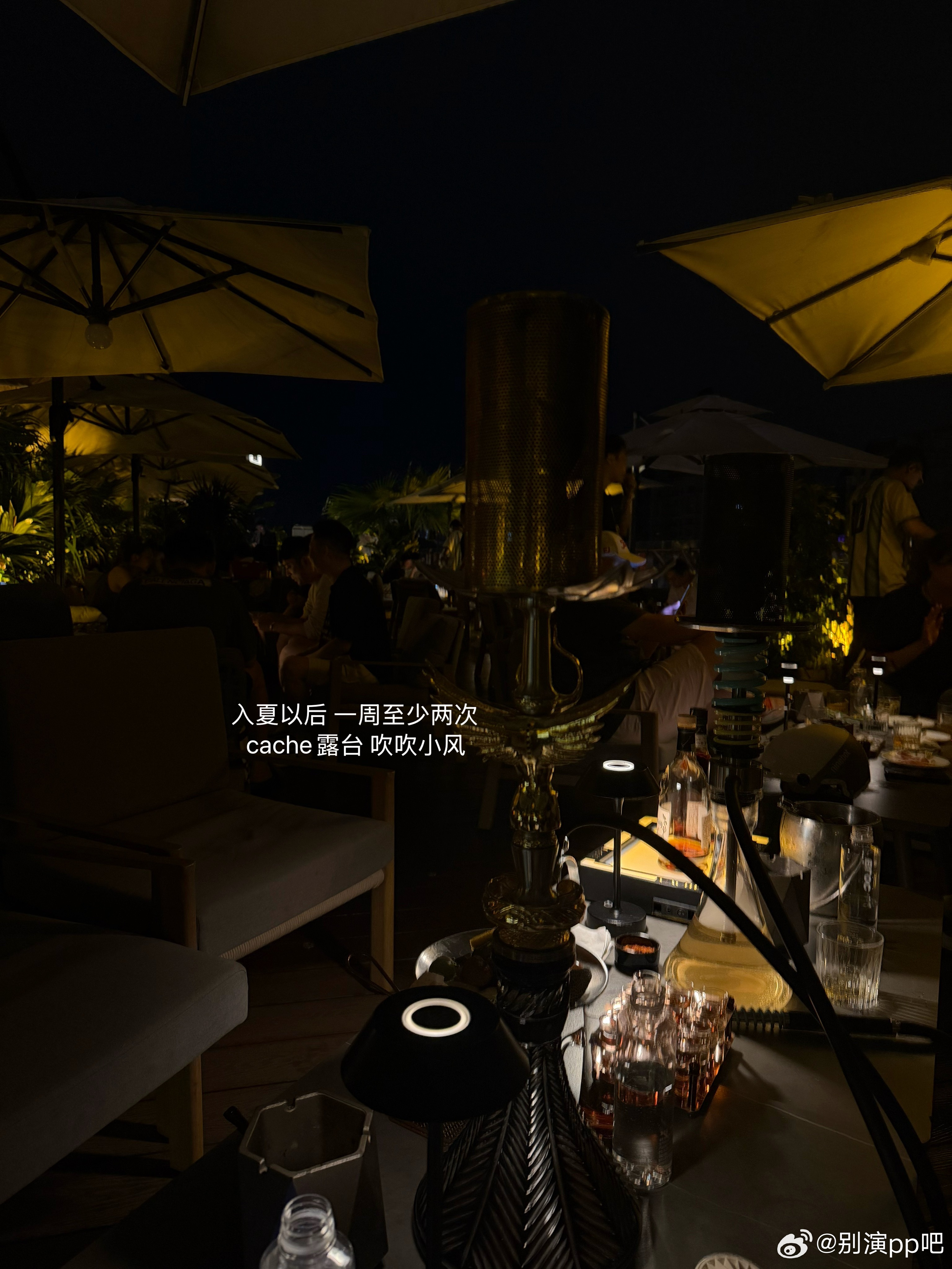 专心经营自己的呆萌幸福生活