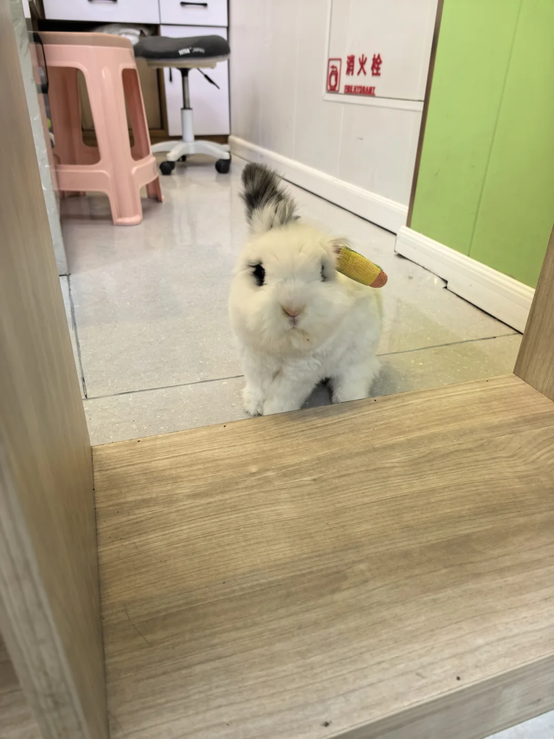 你是妈妈最可爱的宝宝