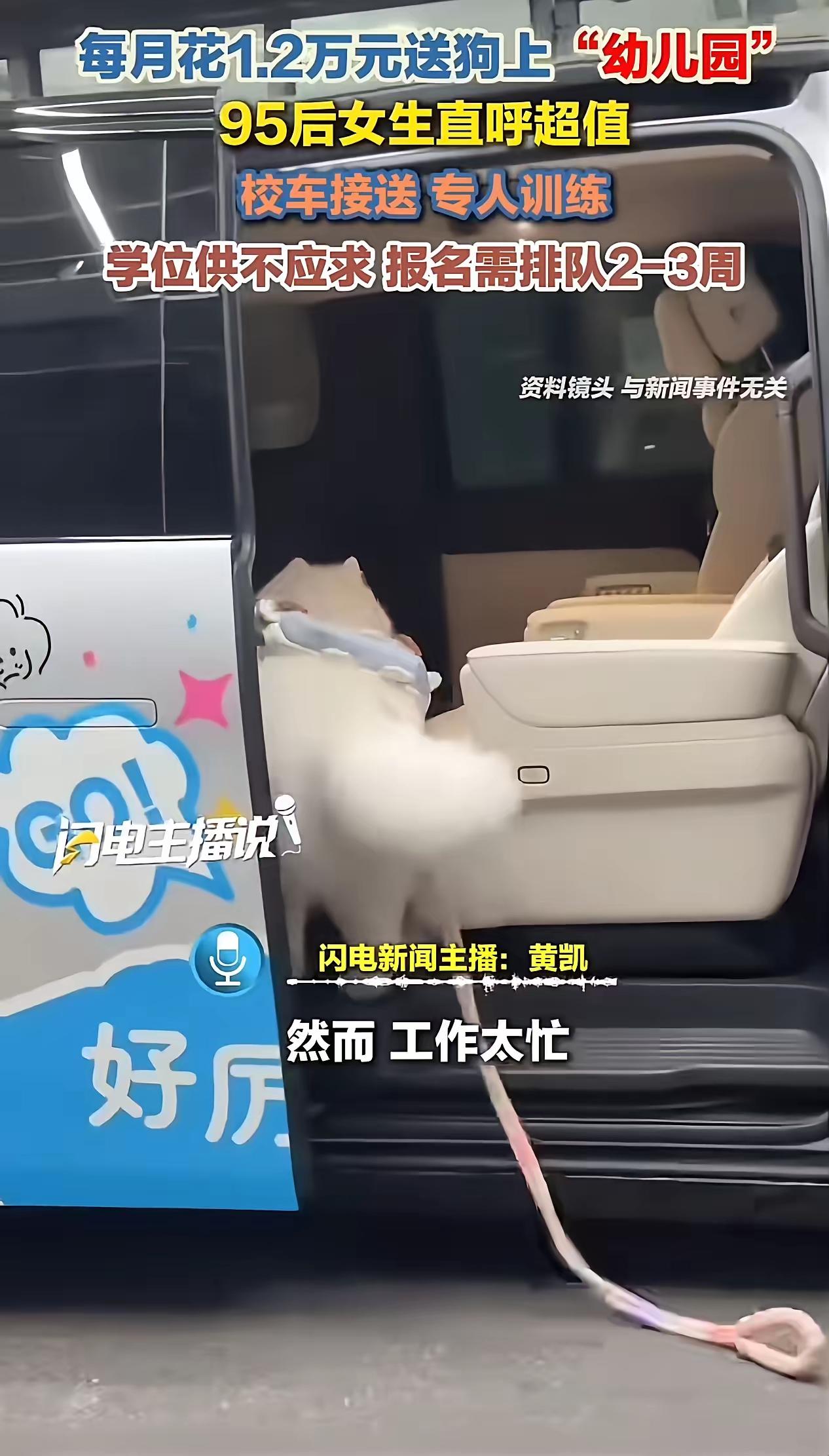 人不如狗实锤！上海 95 后豪掷 1.2 万送狗上“贵族园”，网友怒喷：这世道彻