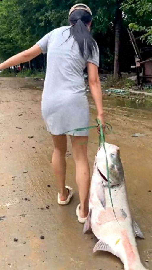 赚翻了！湖北赤壁，一名女子在河边看风景，突然，河里飘来一个泛白的东西，女子起初以