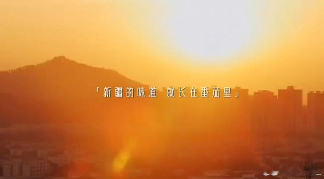 在新疆看见写在大地上的科研论文万亩番茄铺满新疆戈壁绿洲，范现国走进田间溯源好番茄