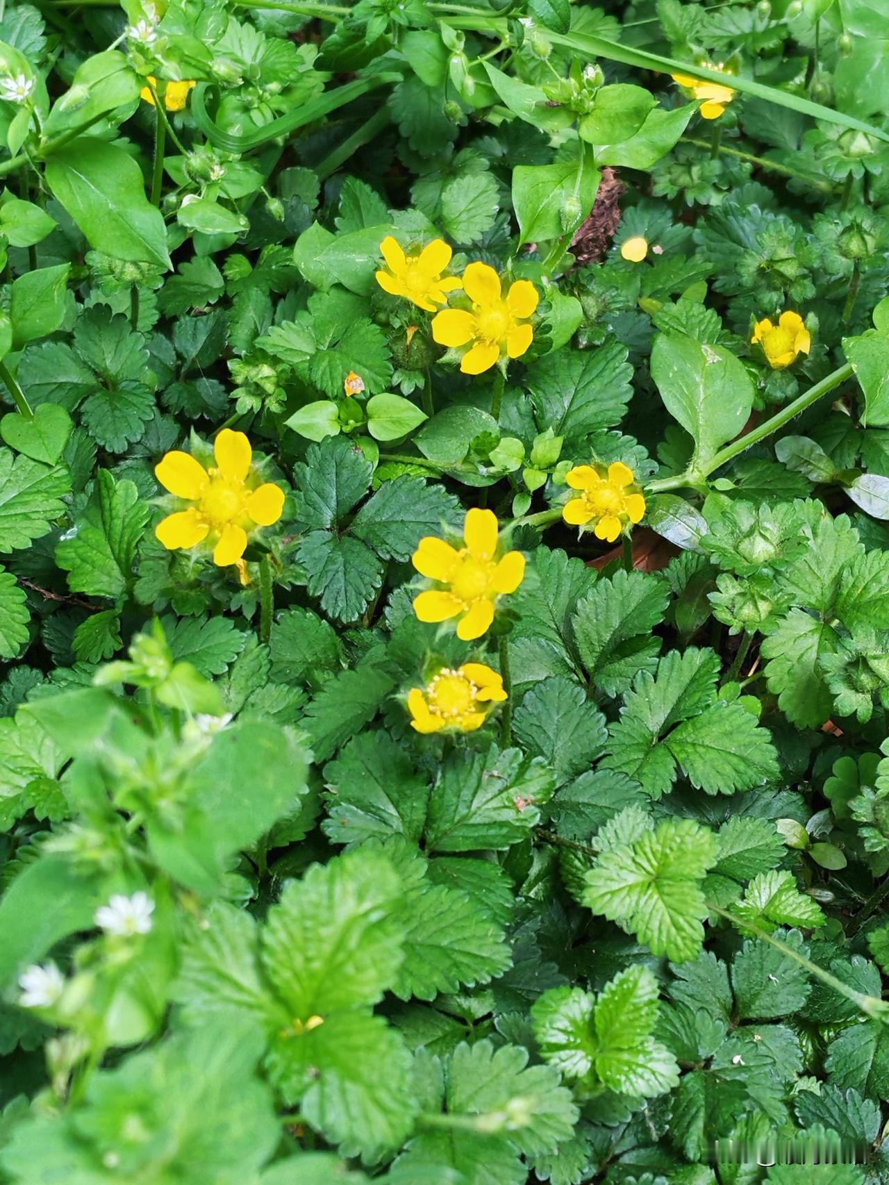 忠告：人一辈子，这5件事，顺序千万别摆错，别等出问题了才后悔！

人一生过得好不