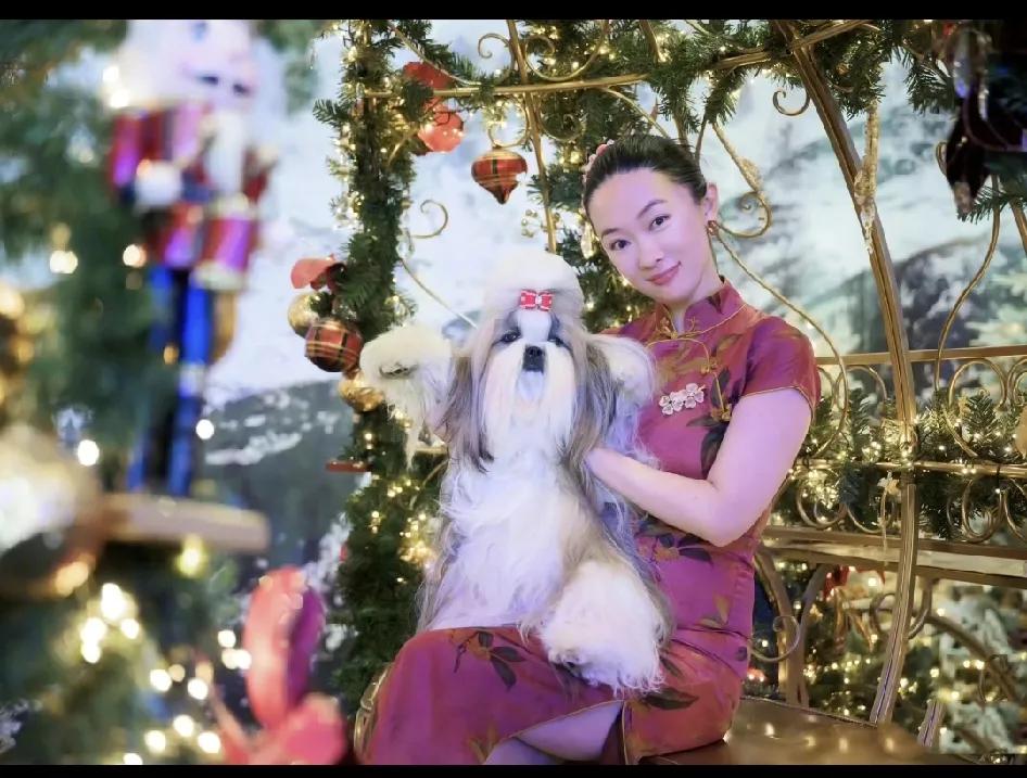 看来，很多人已经对旗袍有心里抵抗了，旗袍会成为收藏夹里的展示衣吗？
因为说旗袍太