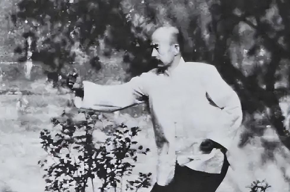 1936年，武术家寇运兴在德国柏林表演武术，遭到芬兰拳击手挑衅，说：我要用拳击挑