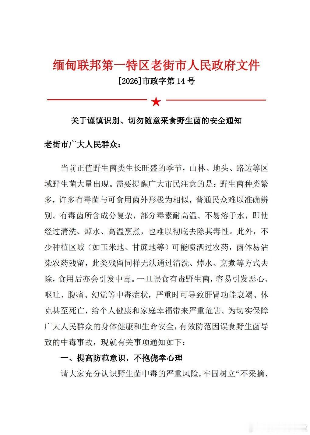 缅北果敢地区也发野生菌注意事项！

每年六月份，都是见手青疯涨的时刻，每年在云南