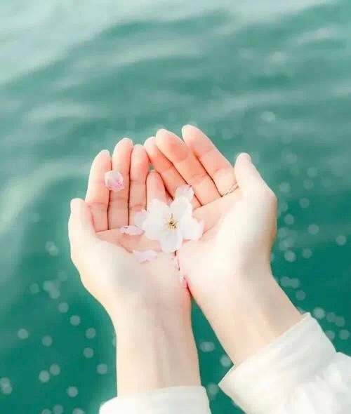 康德：自由不是想做什么就做什么，而是教会你不想做什么就可以不做什么。 ​​​