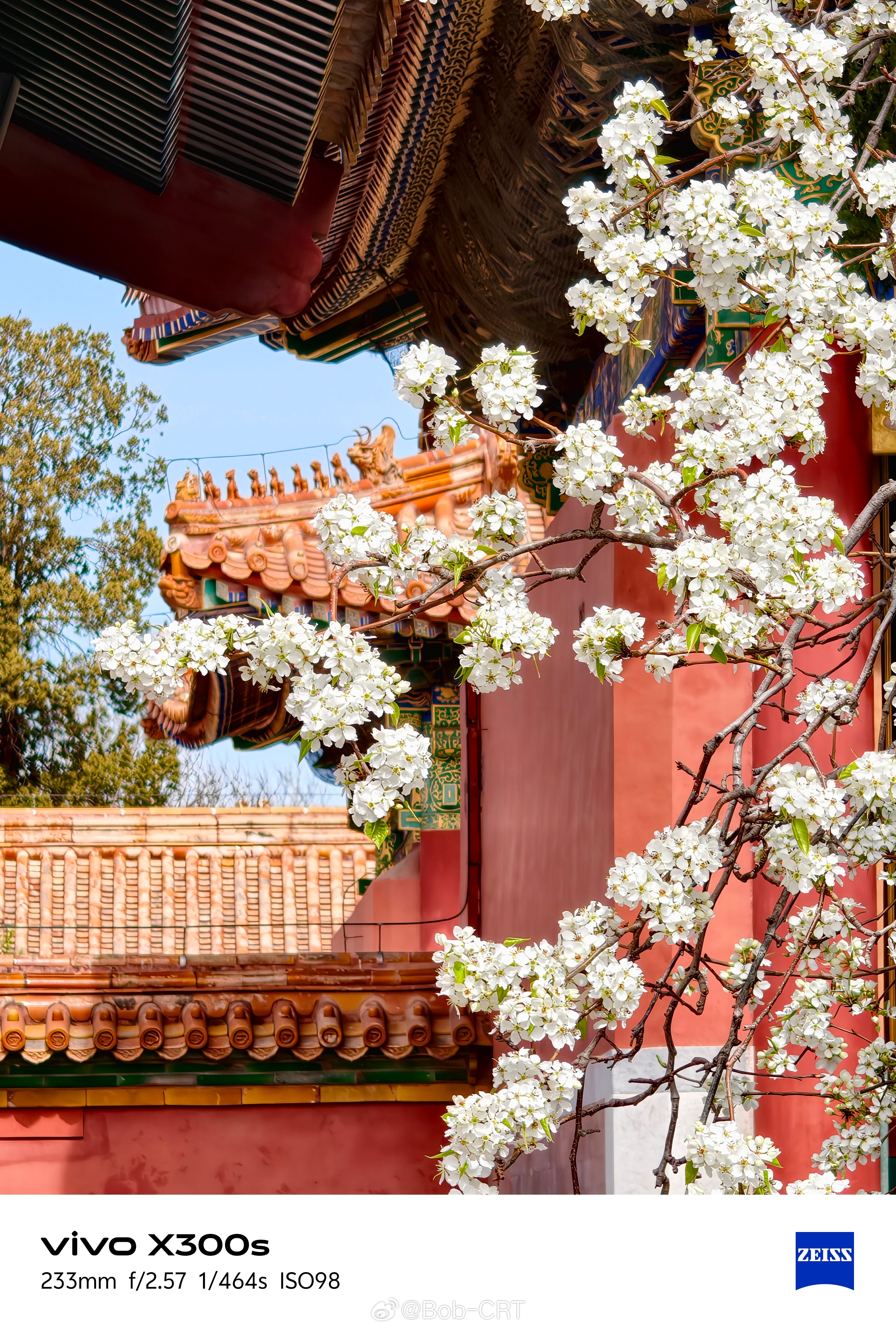 《走进故宫的春天》故宫的春天有多美？只有您亲身走进这座昔日皇城才能体会到。其实，