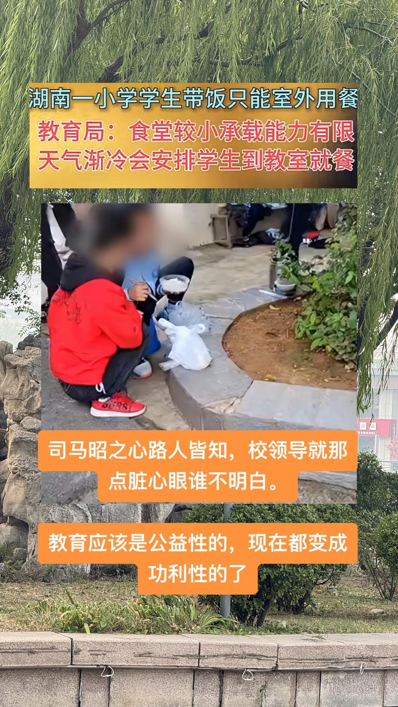有些孩子习惯自己带饭。可万万没想到，他们居然不能在食堂吃饭！只能蹲在外面，边吃边