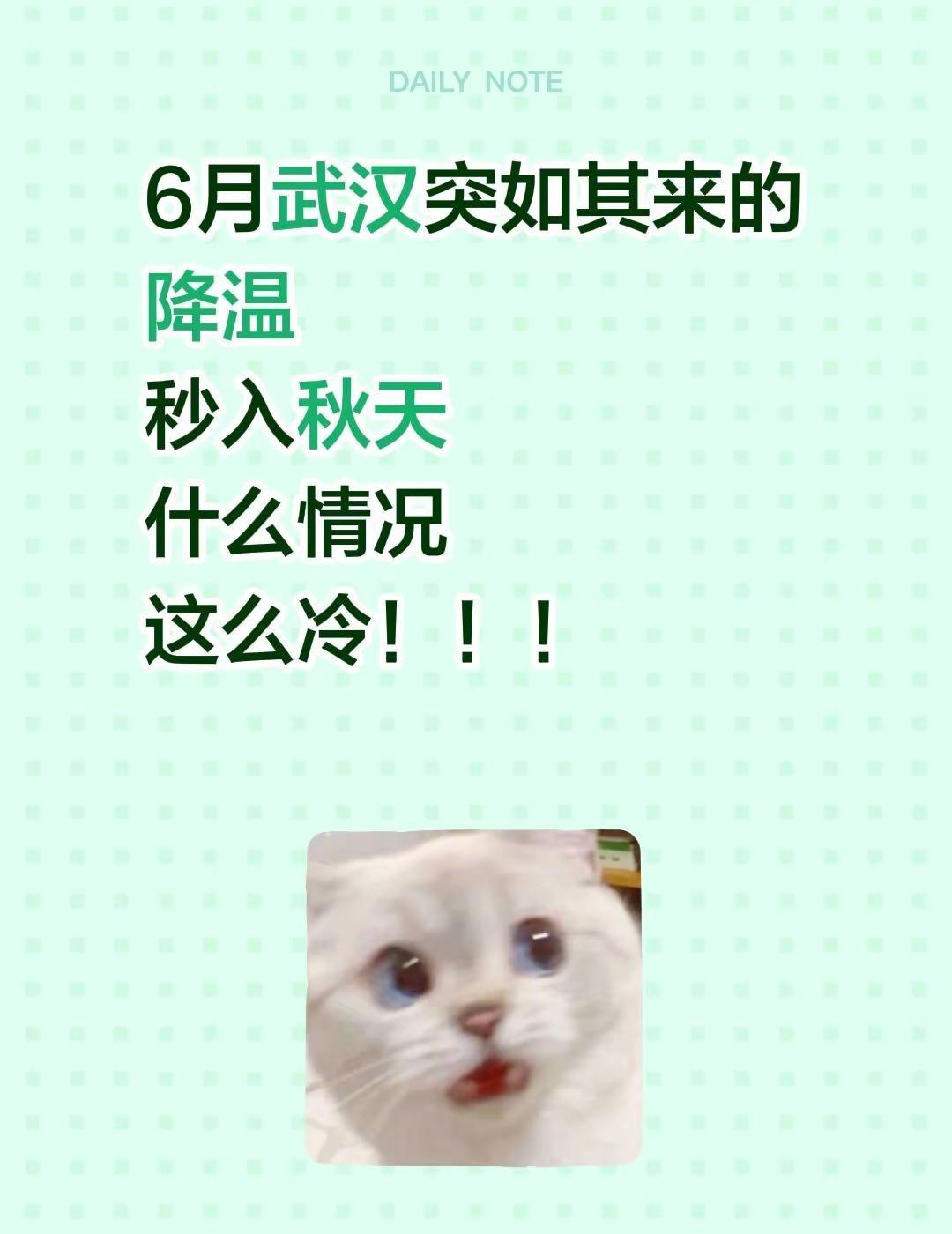 6月武汉突如其来的降温秒入秋天，这么冷！！！