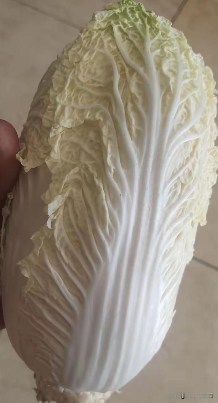 看到了白菜蘸取甲醛的新闻，我扔了家里的20天前买的大白菜。本来想包白菜馅饺子的，