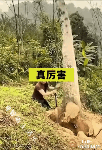大姐，你也太强悍了吧[震惊]