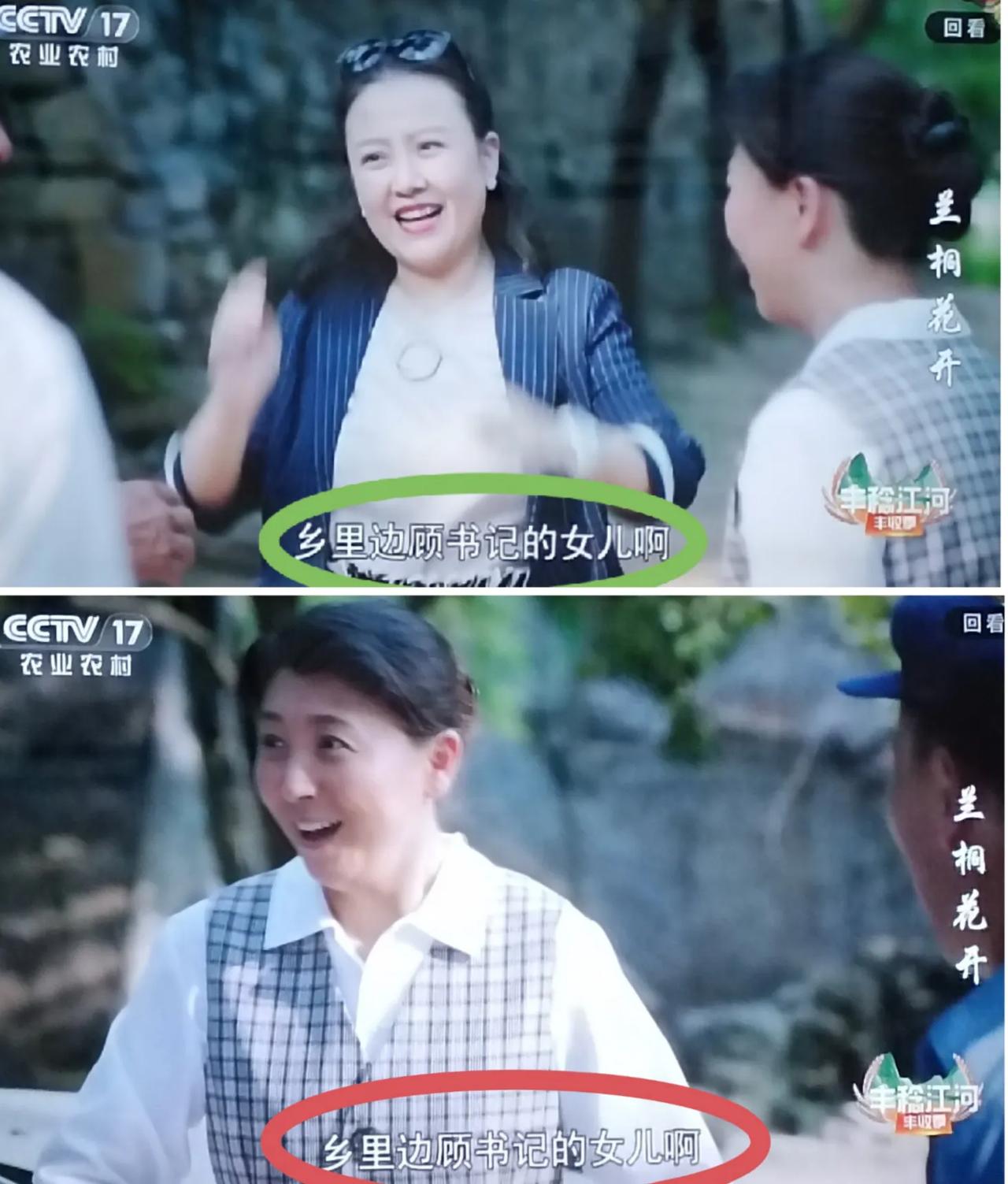 《蘭桐花開》:“鄉里顧書記的女兒啊”？？？