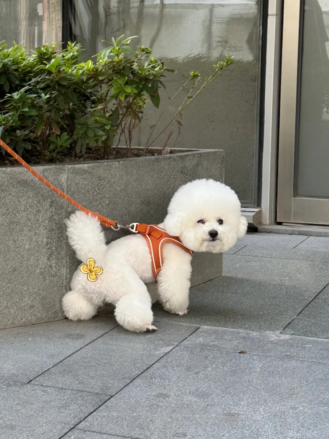 谁家小男生四岁了还在蹲着嘘嘘呀