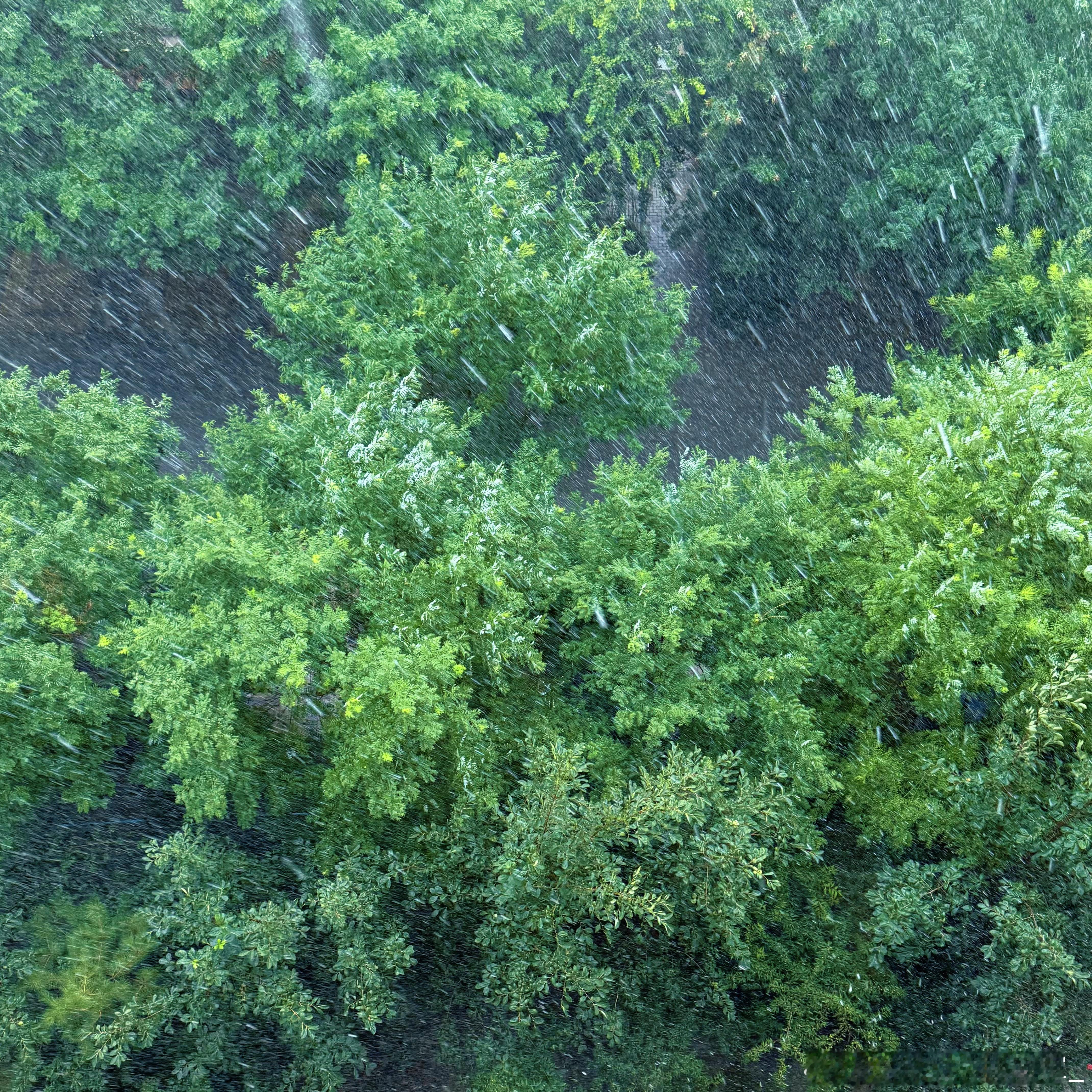 好大的冰雹！ 