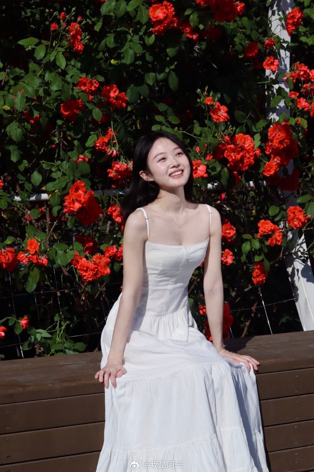 早☀️今天就可以放假了每日早起打卡