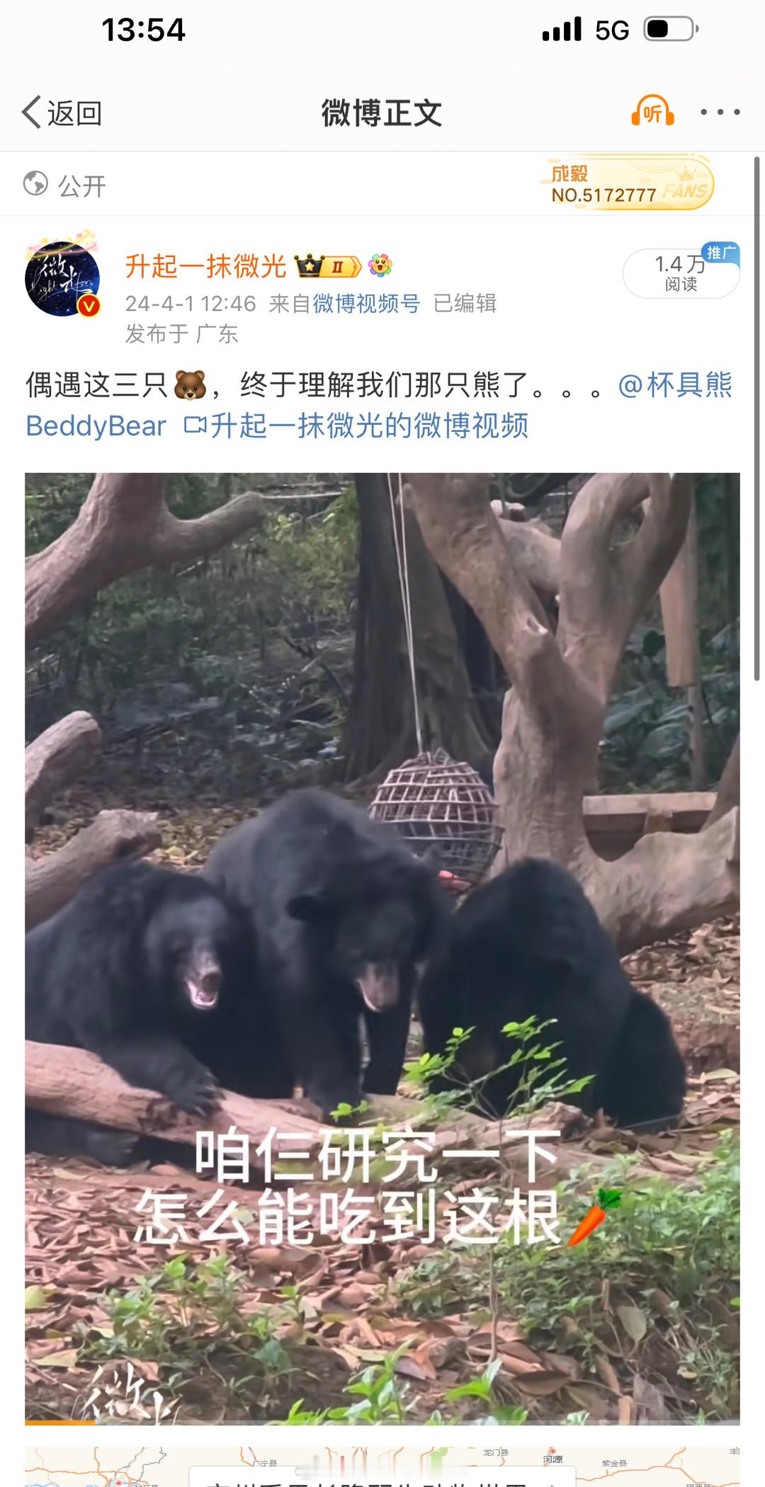 哈哈哈，🐻你真来了 ​​​