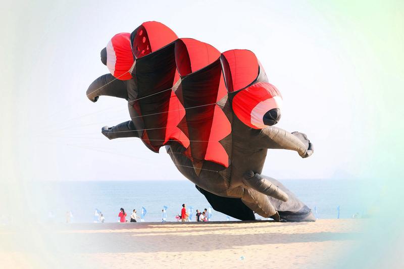 哇塞，135米的远古三叶虫风筝飞上天，这画面想想就震撼！想象一下，一只巨大的三叶