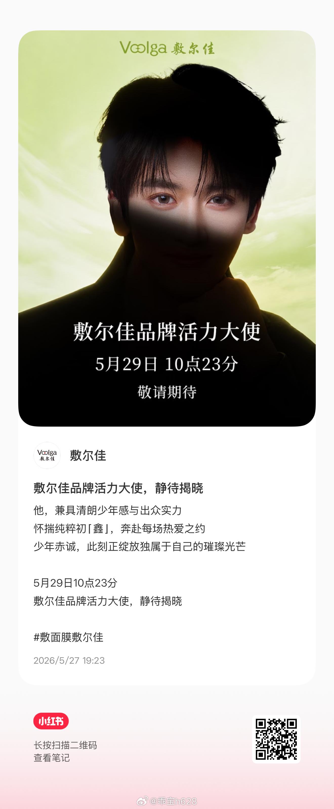 多多佳鑫 2个，需要大量zzp网页链接