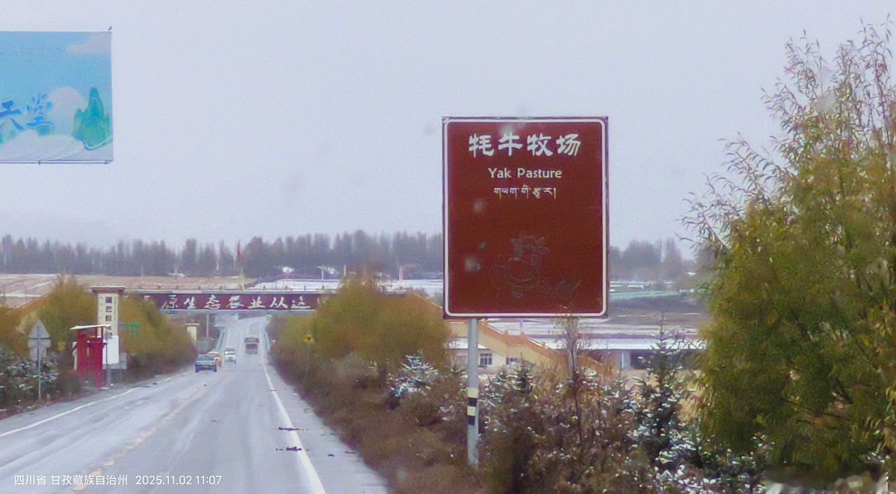 2025年11月2日星期日
川西行第十七天
在路上
大雪天里行驶在路上，每个镜头