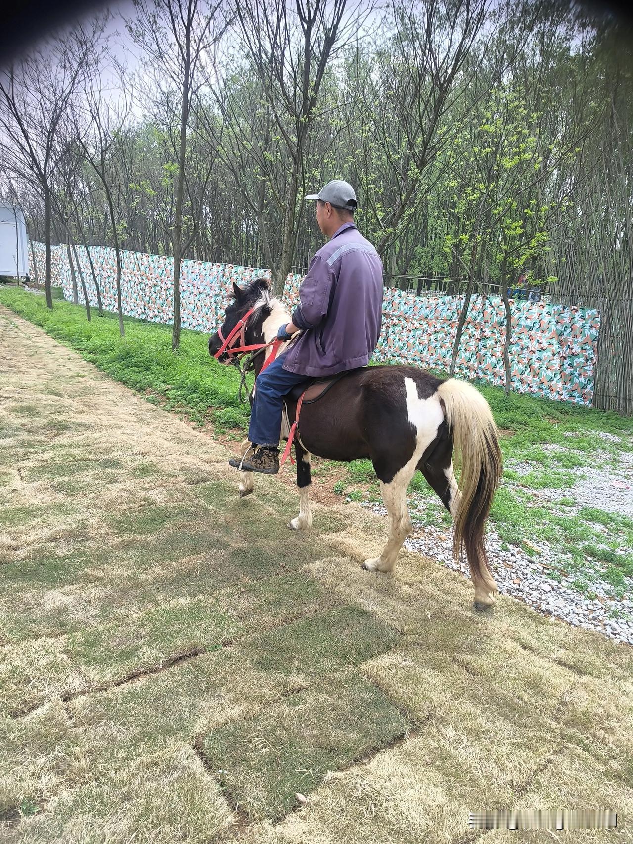 游玩庐州文化村
假期首日，我们一家驾车前往庐州文化村游玩。这里门票价格偏高，但能