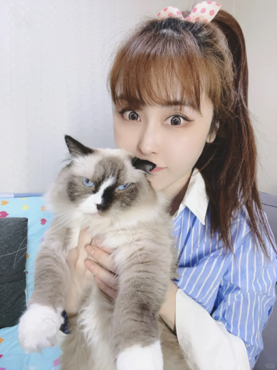 好好一只猫一跟我拍照就变成了丧彪