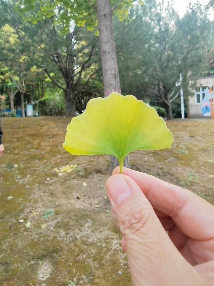 1、美国，最好的工作是？答案：律师

说实话我更关心咱们自己这边。前两年身边亲戚