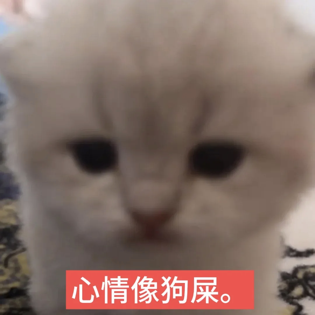 路过dd  需要回访带🔗 