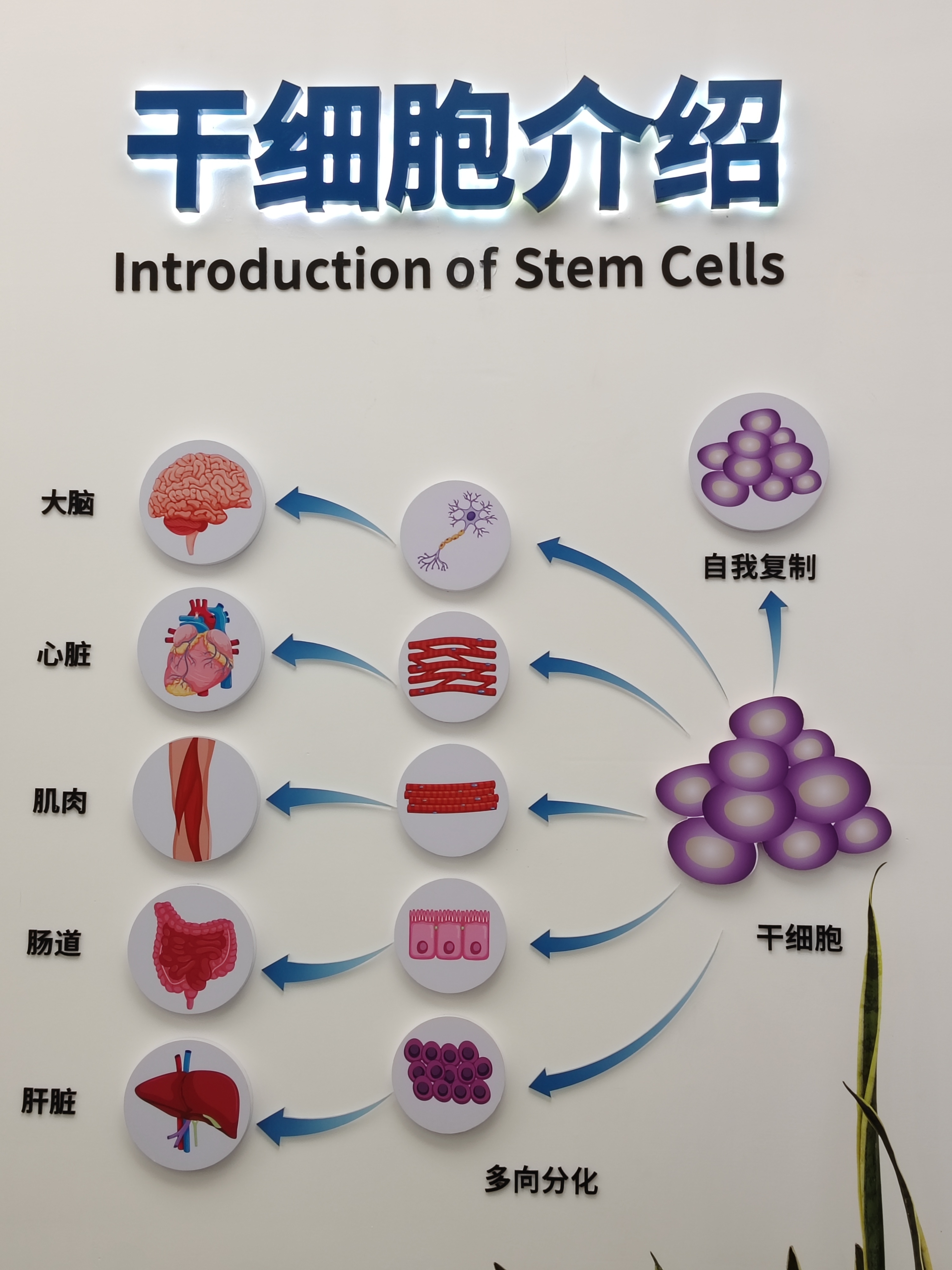东莞松山湖周末科普秀周末别再宅家！东莞松山湖科普秀带你闯入微观宇宙！在专业导师带