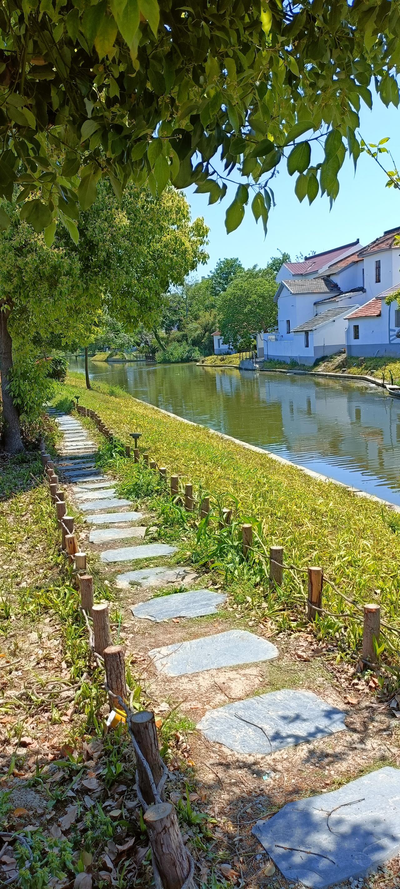 绿意盎然的乡村小路，静谧的河畔，享受大自然的宁静与美好。🍃🌿🏡
上联:绿树
