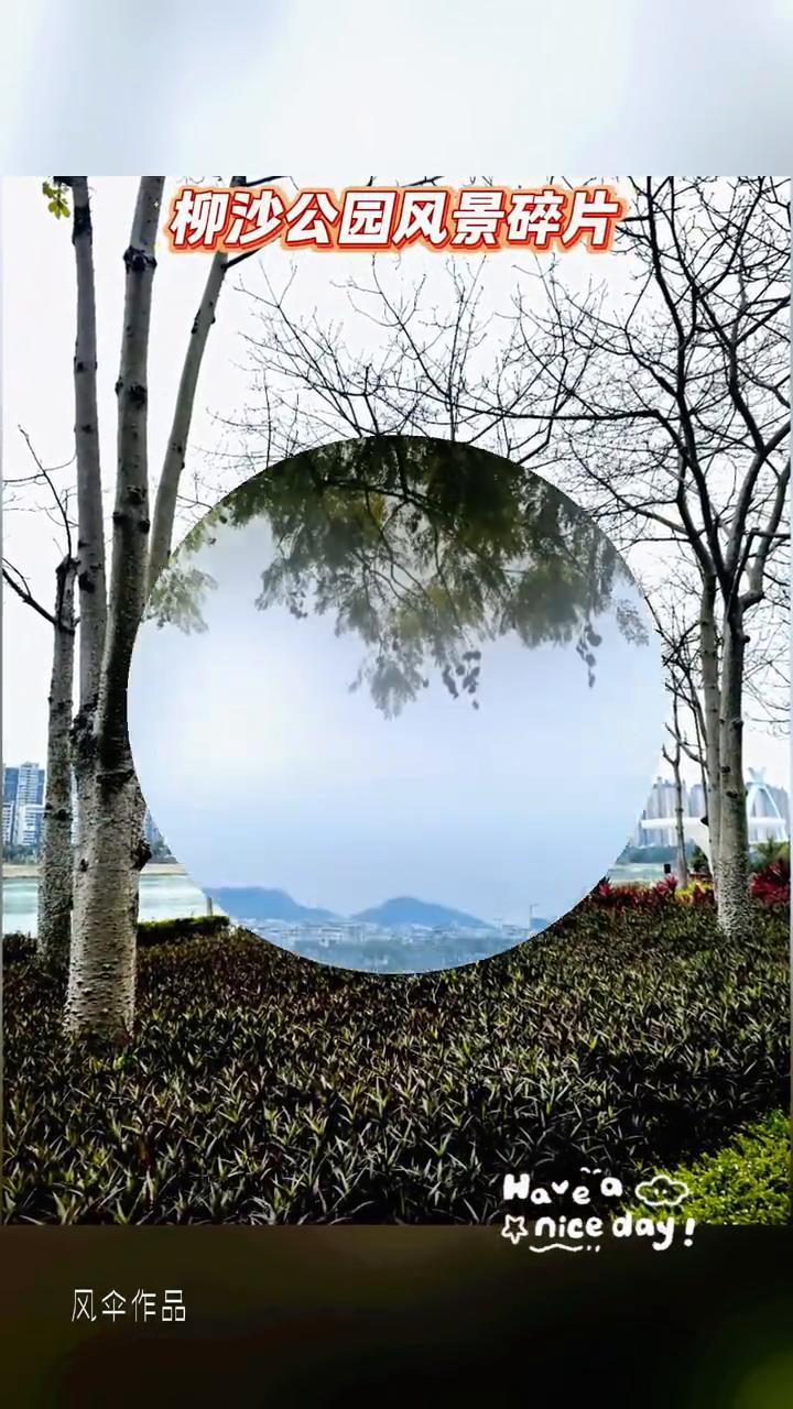 柳沙公园风景碎片。
风伞作品。