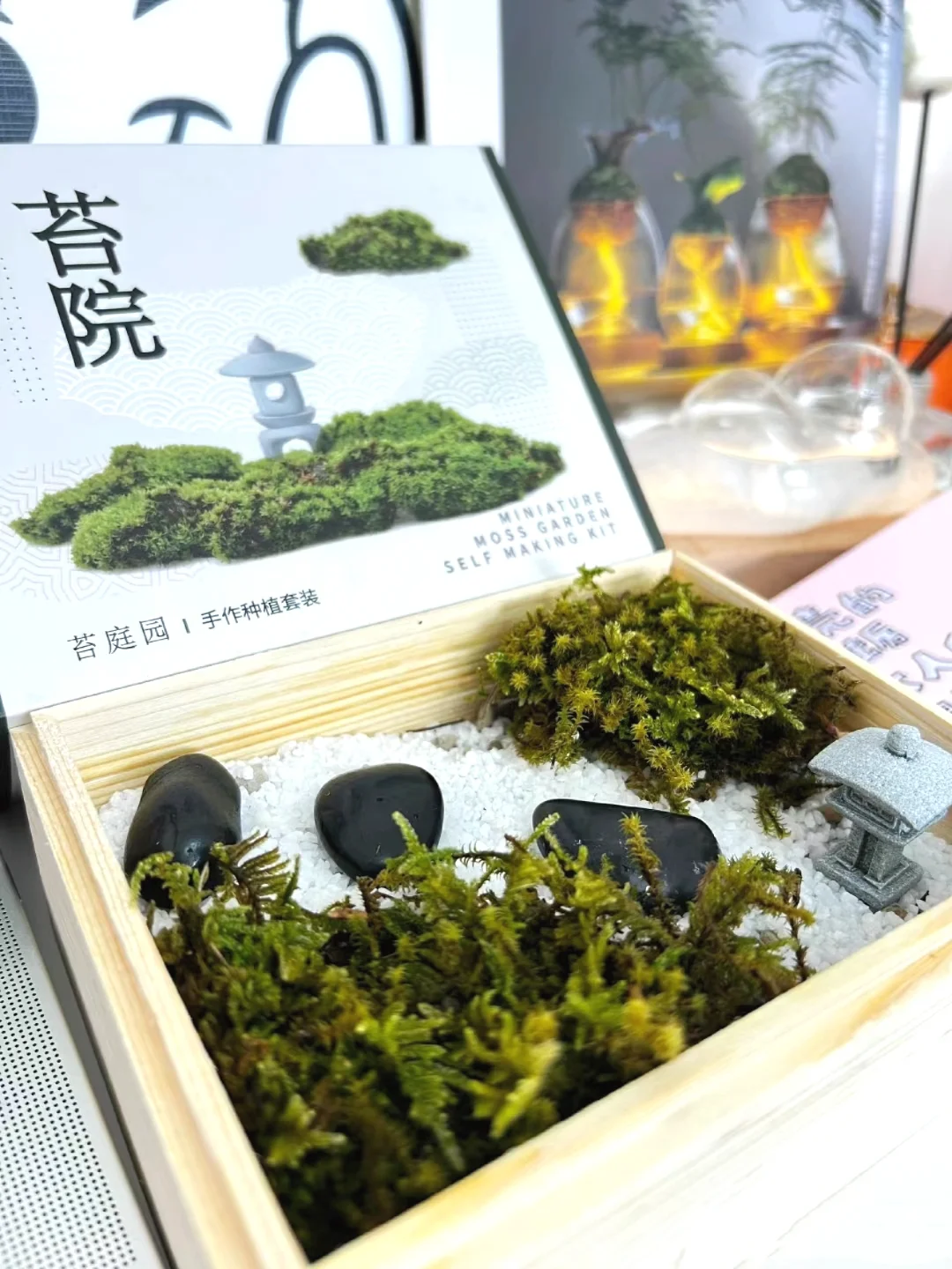 苔庭听雨，仿佛一头扎进山间溪谷