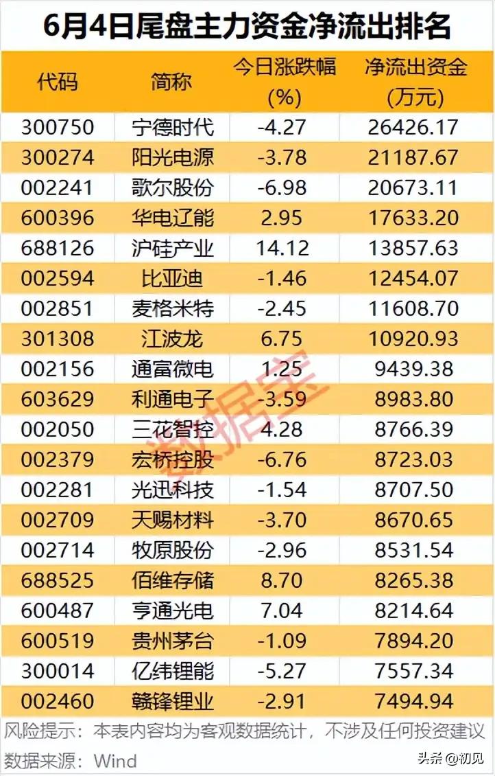 6月4日尾盘资金出逃盘点：多赛道龙头大额甩筹，涨股也遭主力兑现离场！
 
本榜单