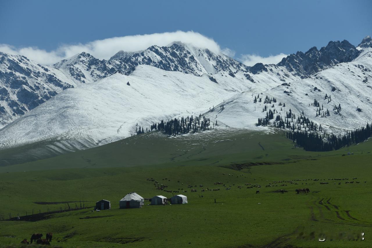 一张图证明你去过那拉提雪山草甸那拉提