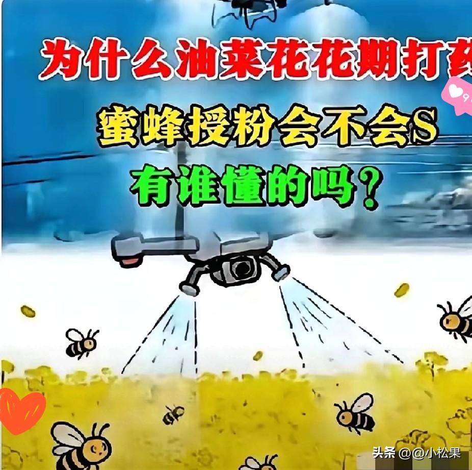 太让人气愤了！油菜盛花期集中喷药，大批蜜蜂离奇死亡，蜂农一年的心血全打水漂，官方