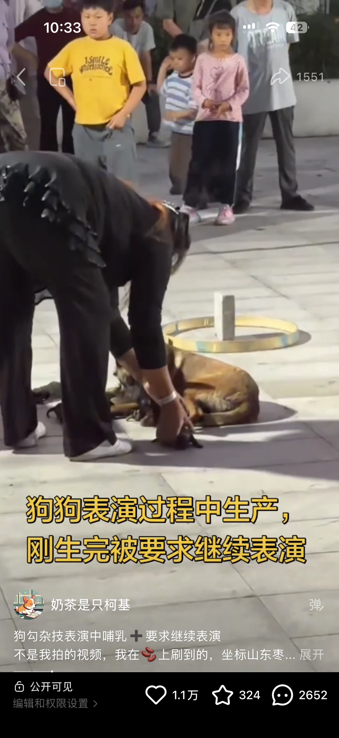 视频被毙掉了 我尽力了。。。