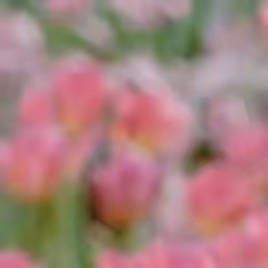 我们惊艳不了他人的时光，但能以一颗平静的心，去温暖自己的岁月。人生不易，别让自己