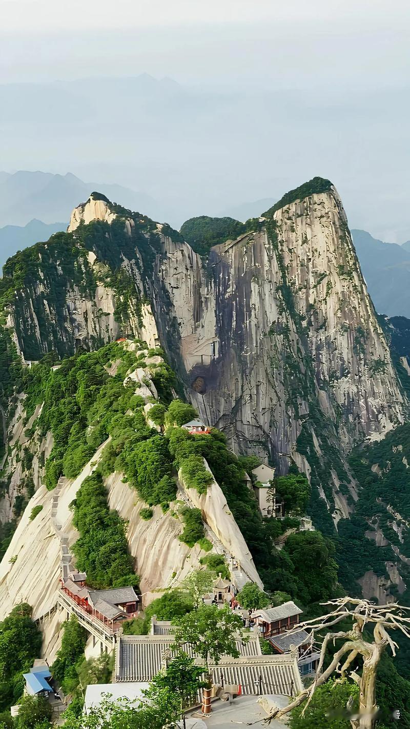体验感黄山不如华山

对喜欢“强冲击、高征服感、干净利落”的人来说，黄山体验确实