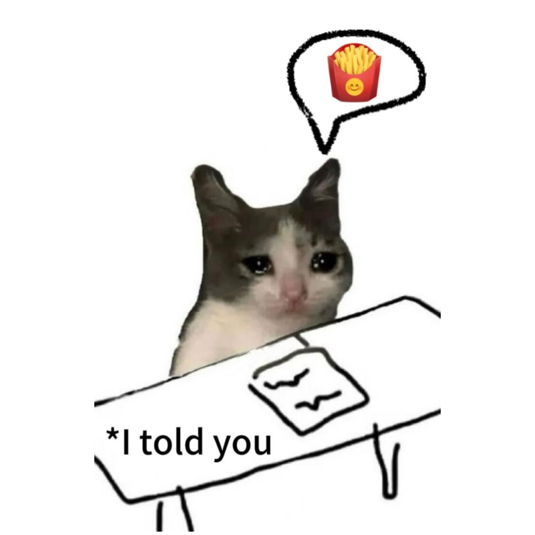 ˚ ₊ ·̩͙.𝗪𝗲𝗶𝗿𝗱 𝗸𝗶𝘁𝘁𝗲𝗻𝘀奇怪的猫 .·