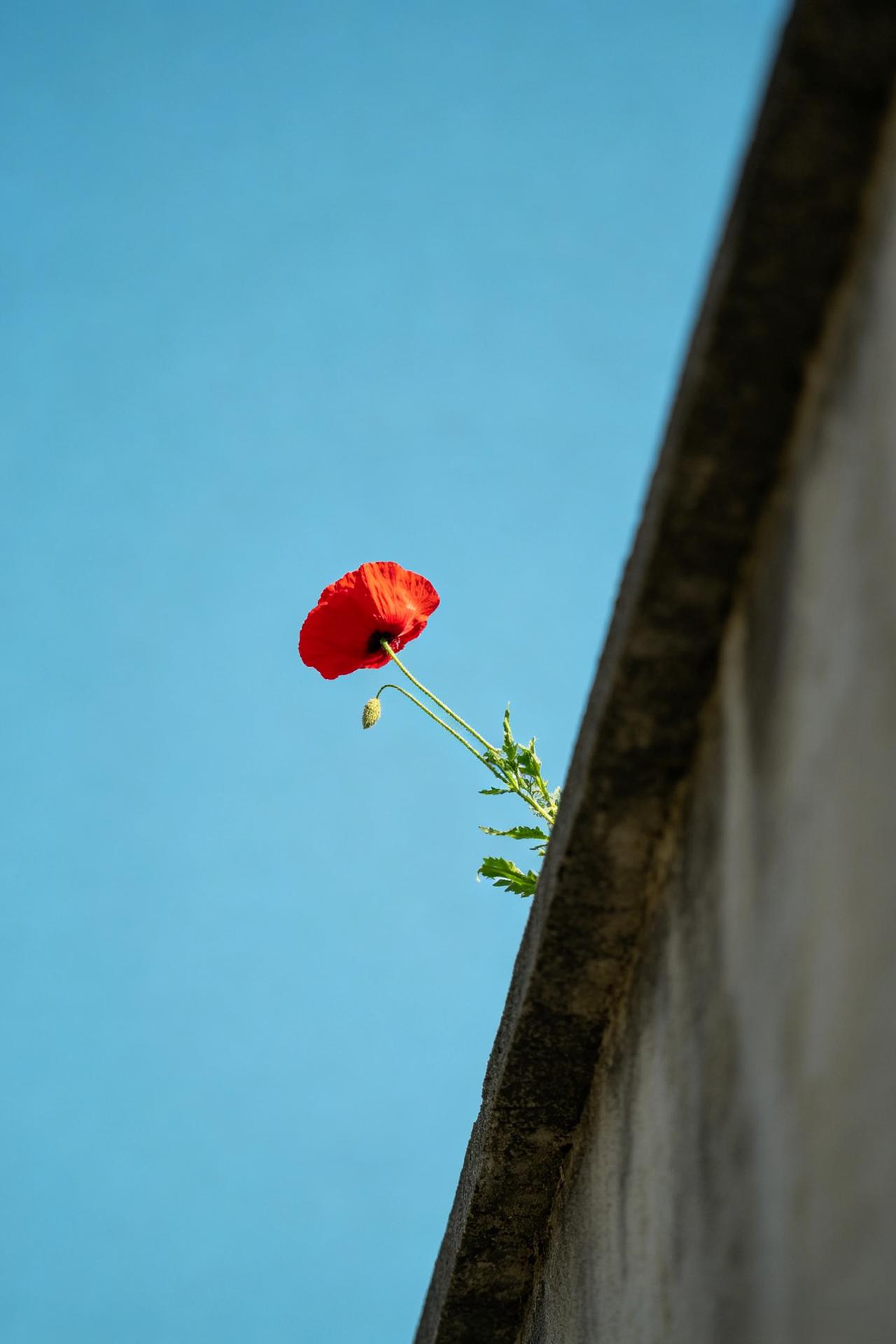 王立群教授说：
“你一定要记住：人生最好的境界是丰富的安静。古人讲非宁静无以致远