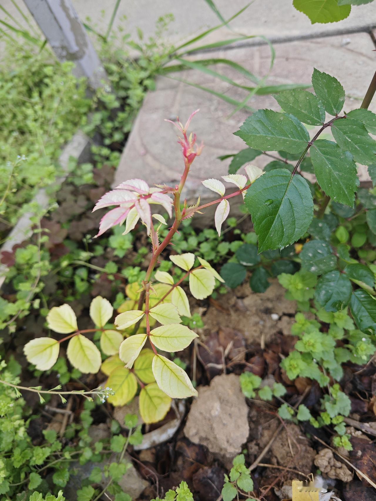 80后读书，进了学校，有足够的伙食费，父母啥都不用管了！
80后的家长，
孩子调