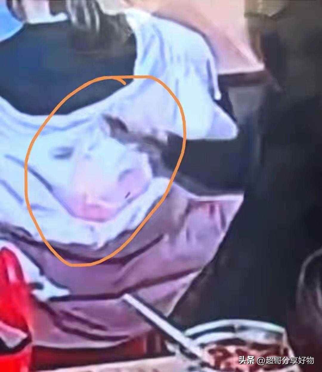 此事看似是饮食纠纷，实则是公共边界与情绪宣泄的碰撞，两败俱伤的结局，再次提醒大众