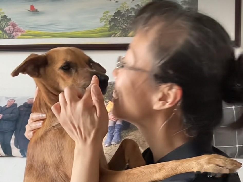 视频里一位中年妇女这样说，我就是把狗当孩子来养，让它在沙发上卧着，让它在我的床上