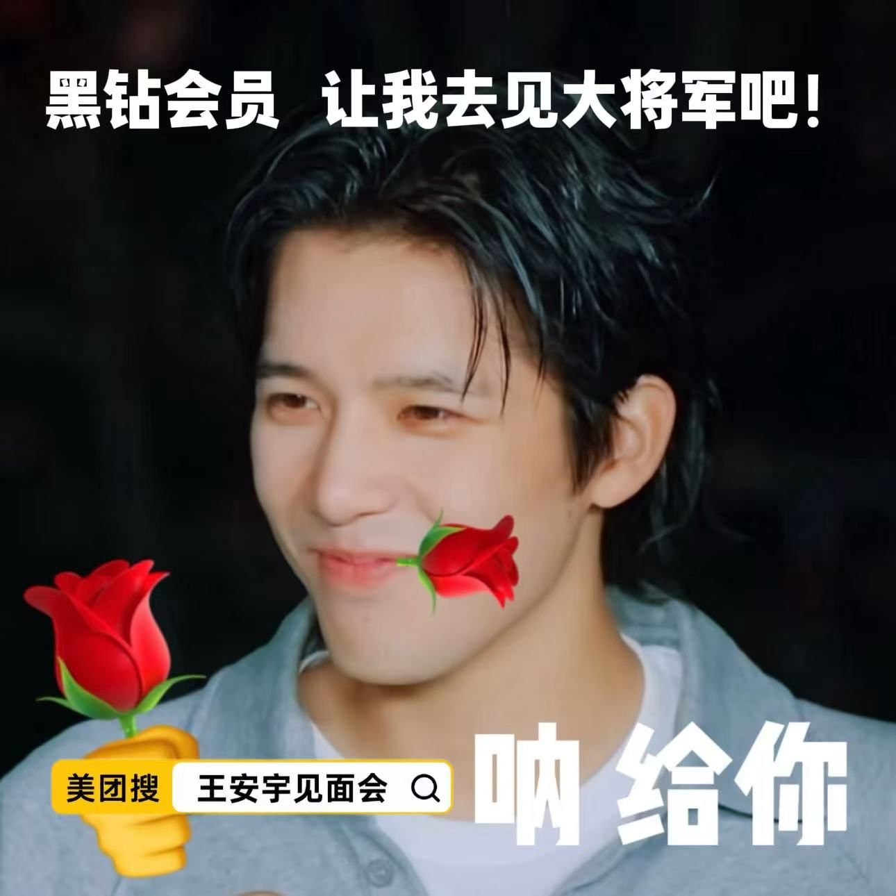 有没有美团黑钻会员姐妹我帮你做应援图你帮我上美团搜【王安宇见面会】🥺王安宇见面